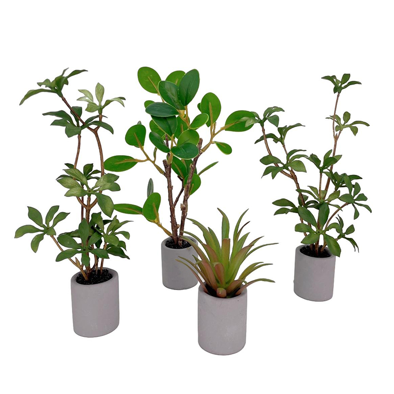 Bonsai Garden Decor - 1:6 Dollhouse Miniature Potted Plant Green