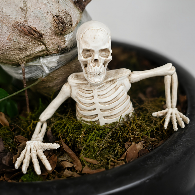 Bonsai Garden Design - Half-body Climbing Out of the Skeleton
