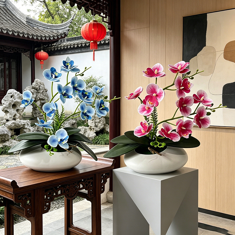 Butterfly Orchid 12 Flower Bon - Bonsai Garden Decor 评论和价格