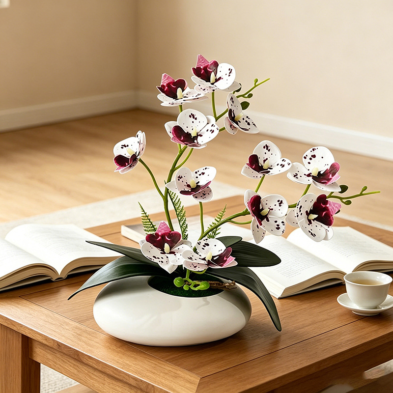 Butterfly Orchid 12 Flower Bon - Bonsai Garden Decor 评论和价格