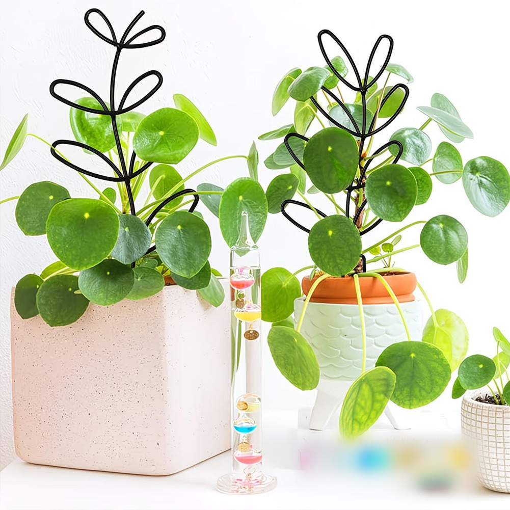For Indoor Decoration Hexagona - Bonsai Garden Design 评论和价格