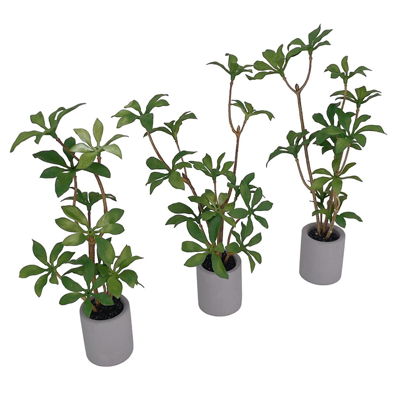 1:6 Dollhouse Miniature Potted - Bonsai Garden Decor 评论和价格