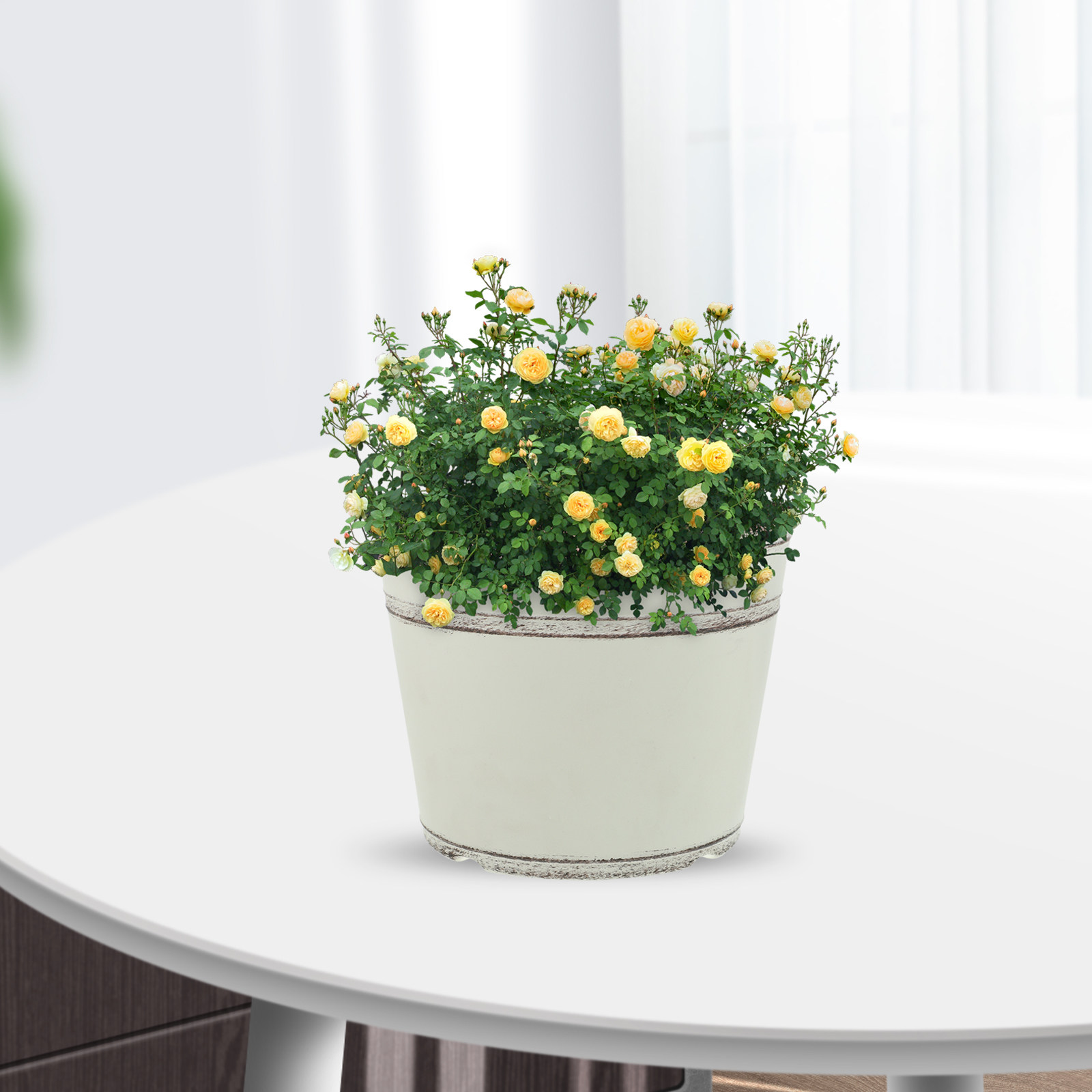 2Pcs Retro Plastic Planter Pot - Bonsai Garden Design 评论和价格