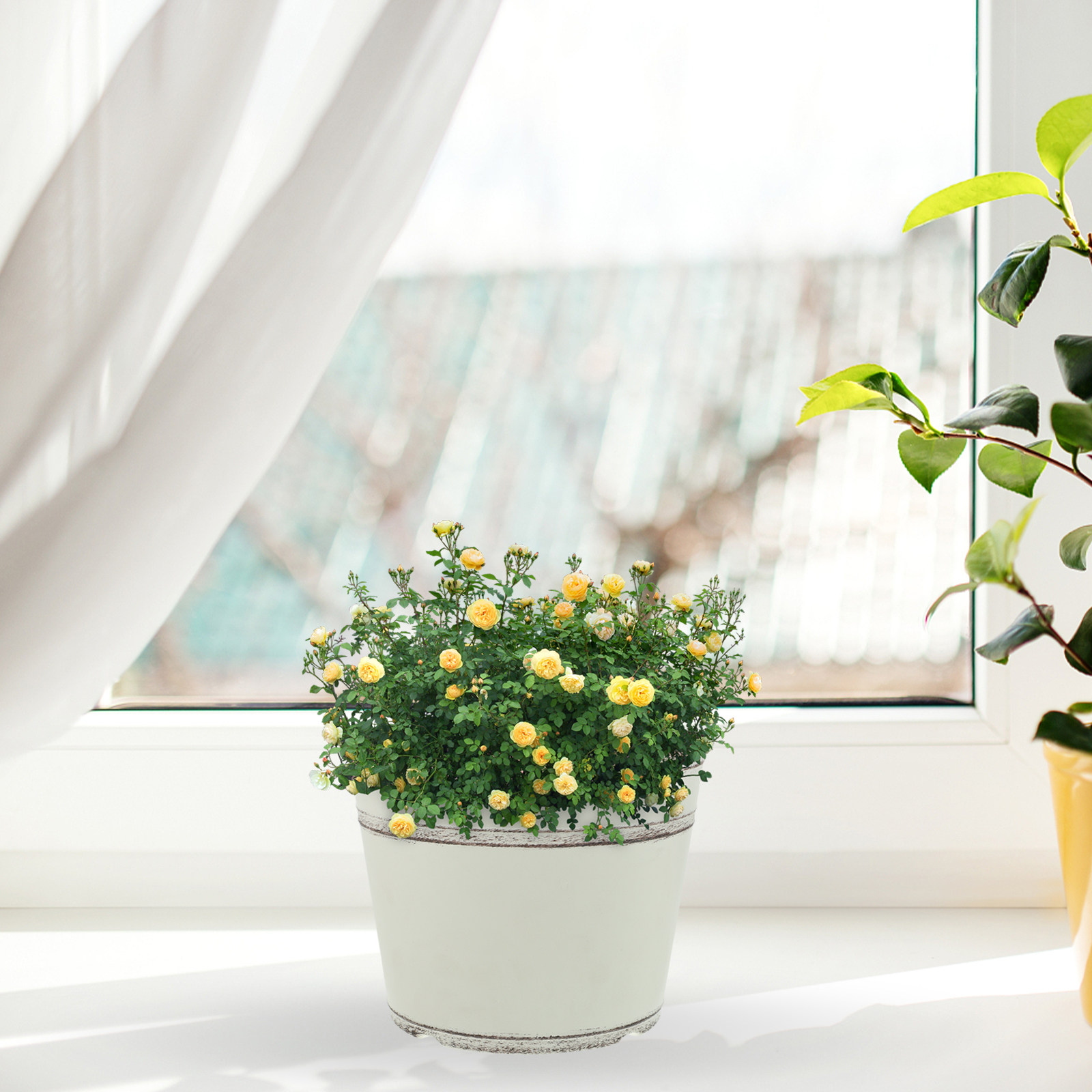 2Pcs Retro Plastic Planter Pot - Bonsai Garden Design 评论和价格