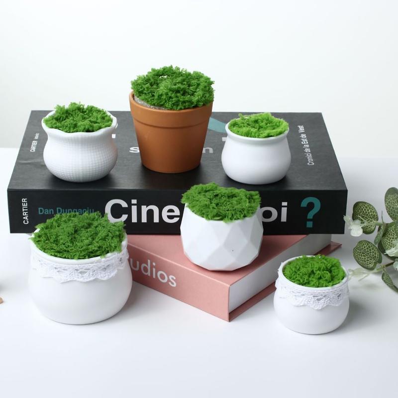 5Pcs Creative Balcony Fake Flo - Bonsai Garden Decor 评论和价格