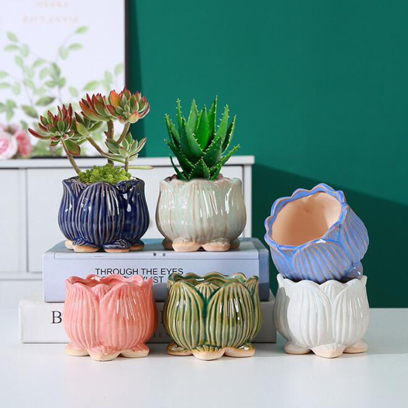 2027 Ceramic Lotus Design Succ - Bonsai Garden Design 评论和价格